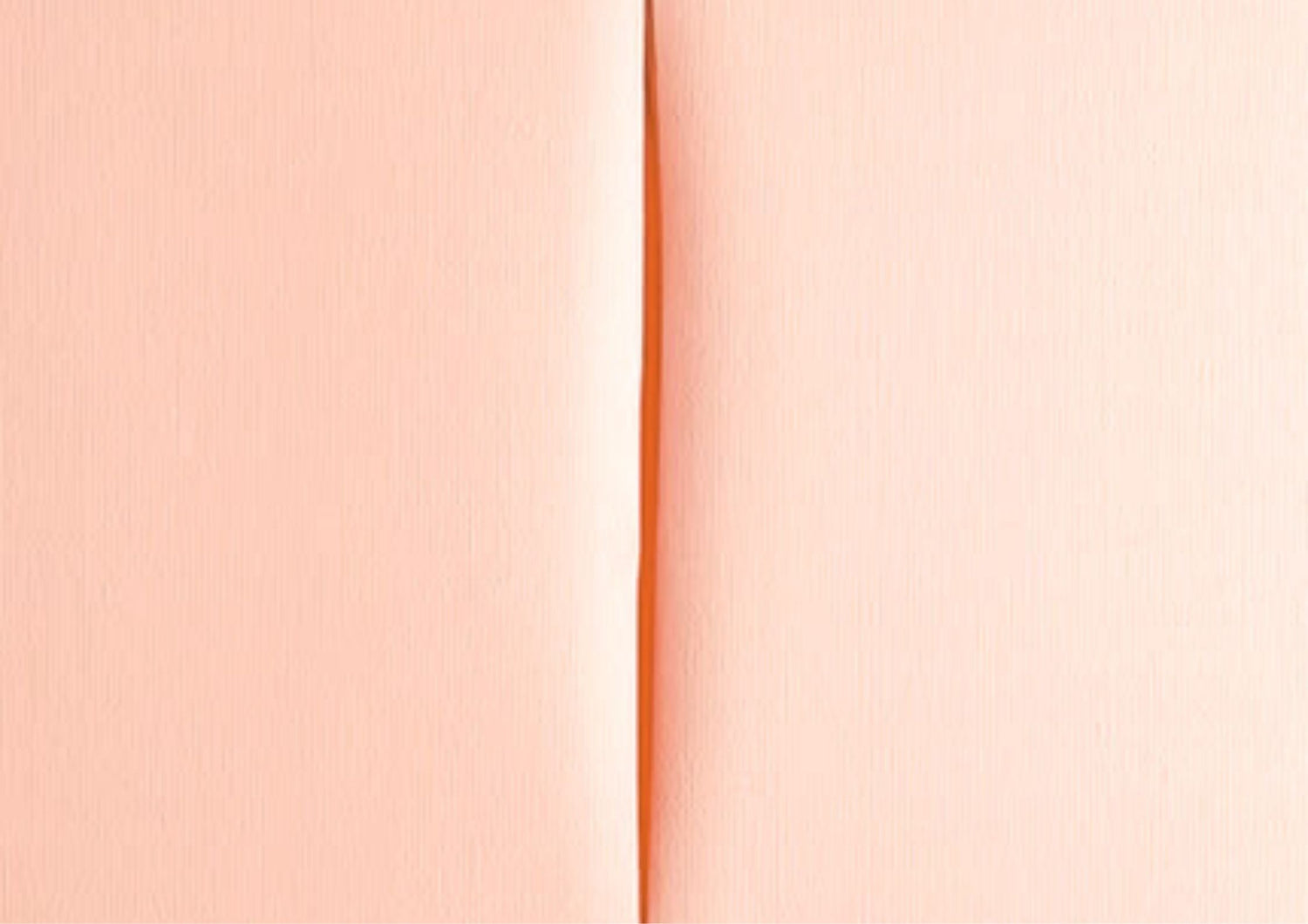 La vulva perfetta non esiste (e ti spieghiamo perché)