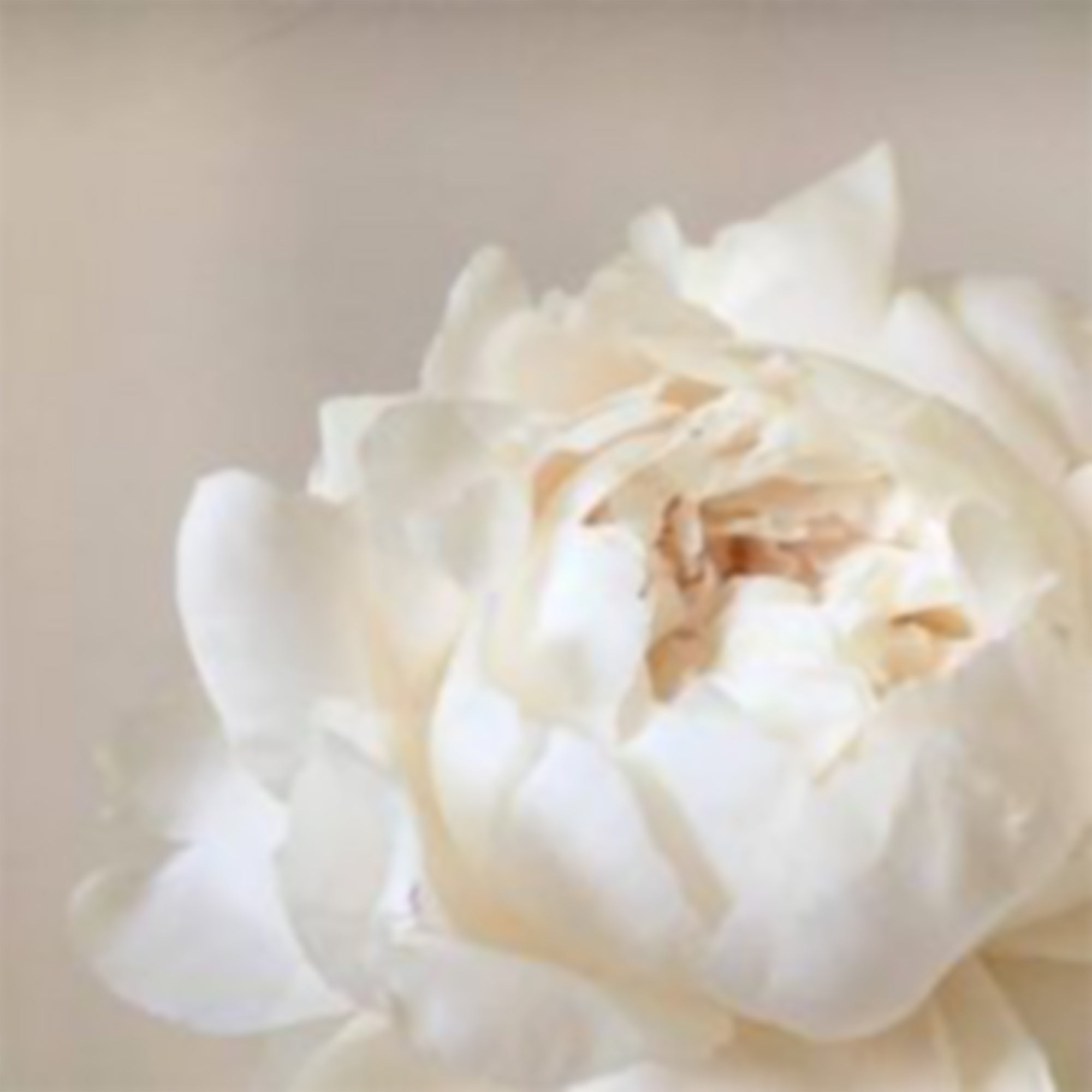 La guida consapevole di Kysh Cosmetics al benessere femminile in inverno