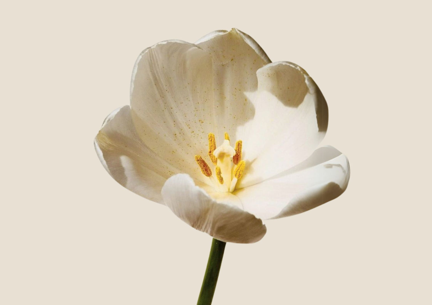 Skincare intima e adolescenza: come iniziare a prendersi cura di sé da teenager