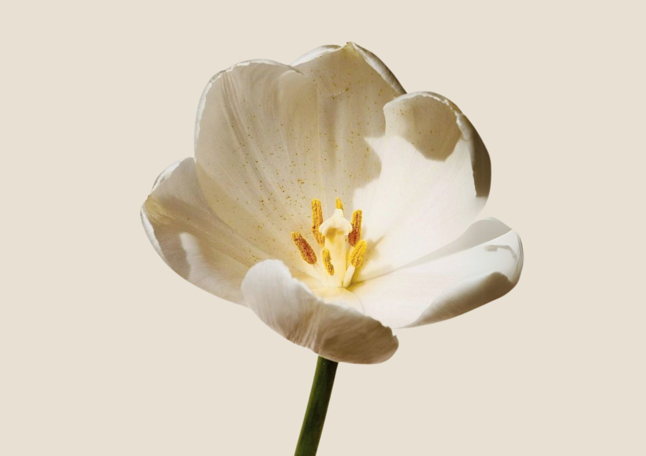 Skincare intima e adolescenza: come iniziare a prendersi cura di sé da teenager