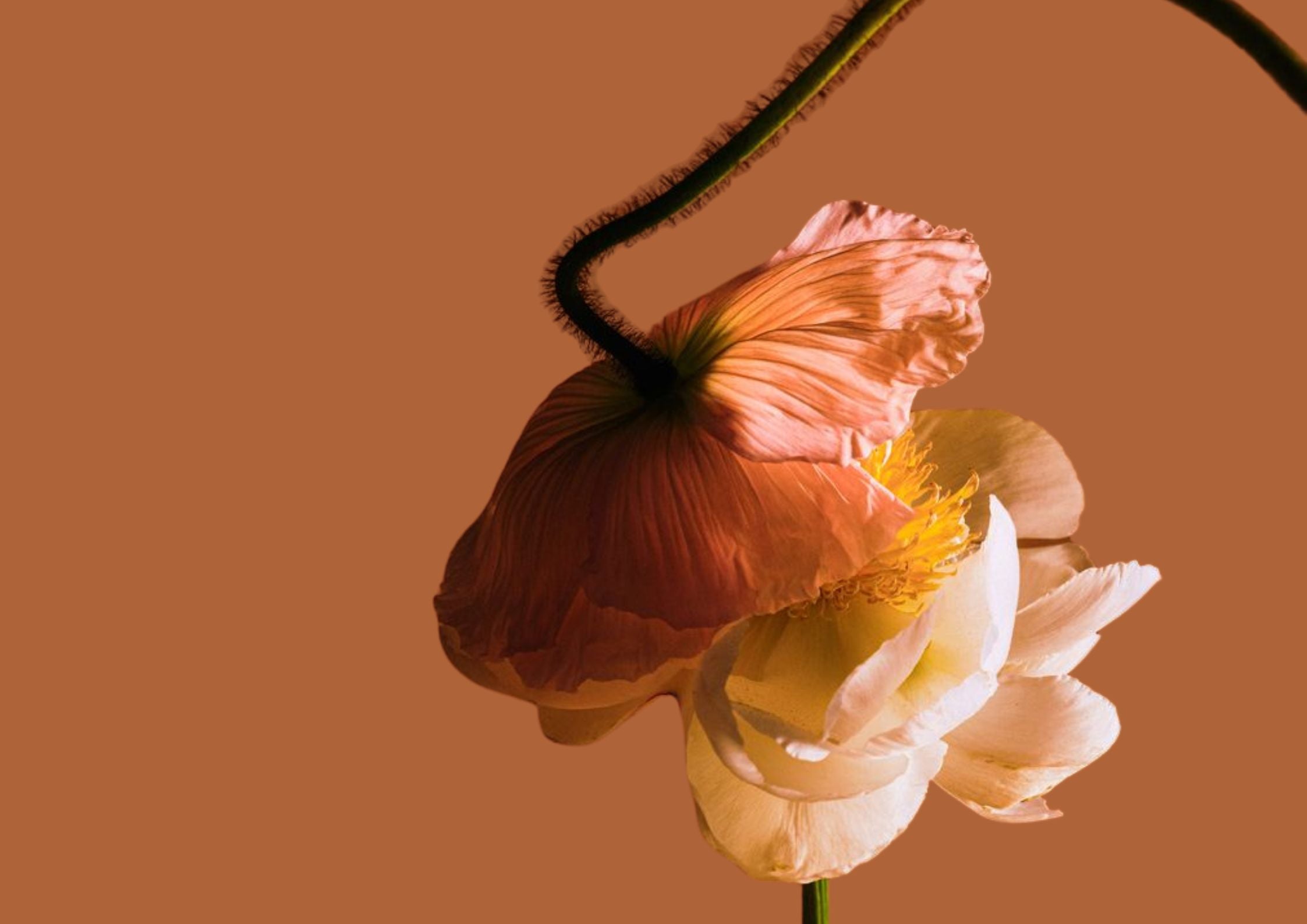 The Menstrual Map: Quali Sono le 4 Fasi del Ciclo e Come Navigarle con Kysh Cosmetics