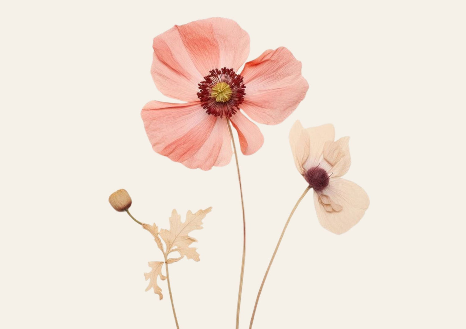 Prendersi cura del Pavimento Pelvico: tre falsi miti e tre cose che ogni donna dovrebbe sapere!