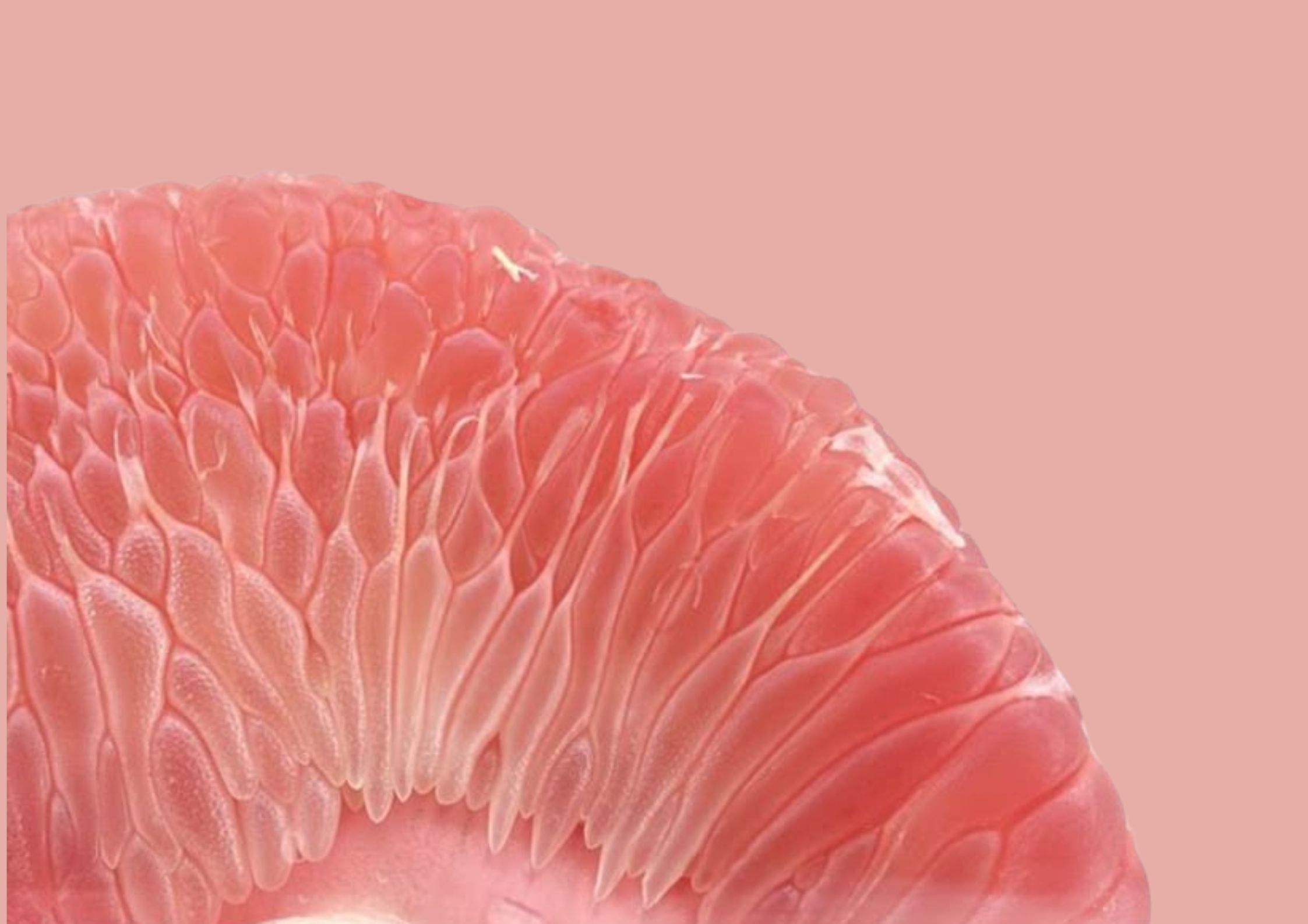 Pillola e benessere intimo: come creare una routine che rispetta il tuo corpo